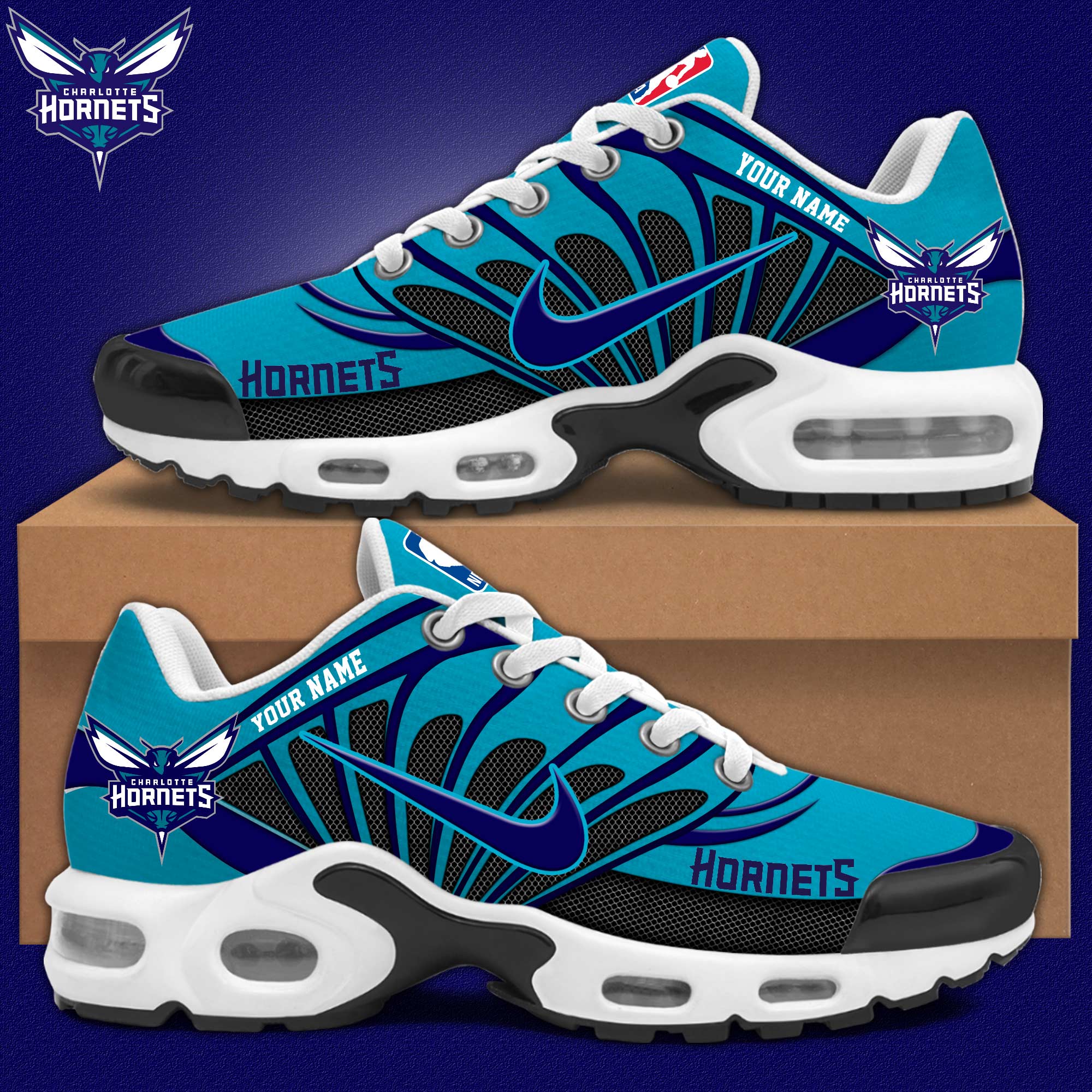 Charlotte Hornets Shoes