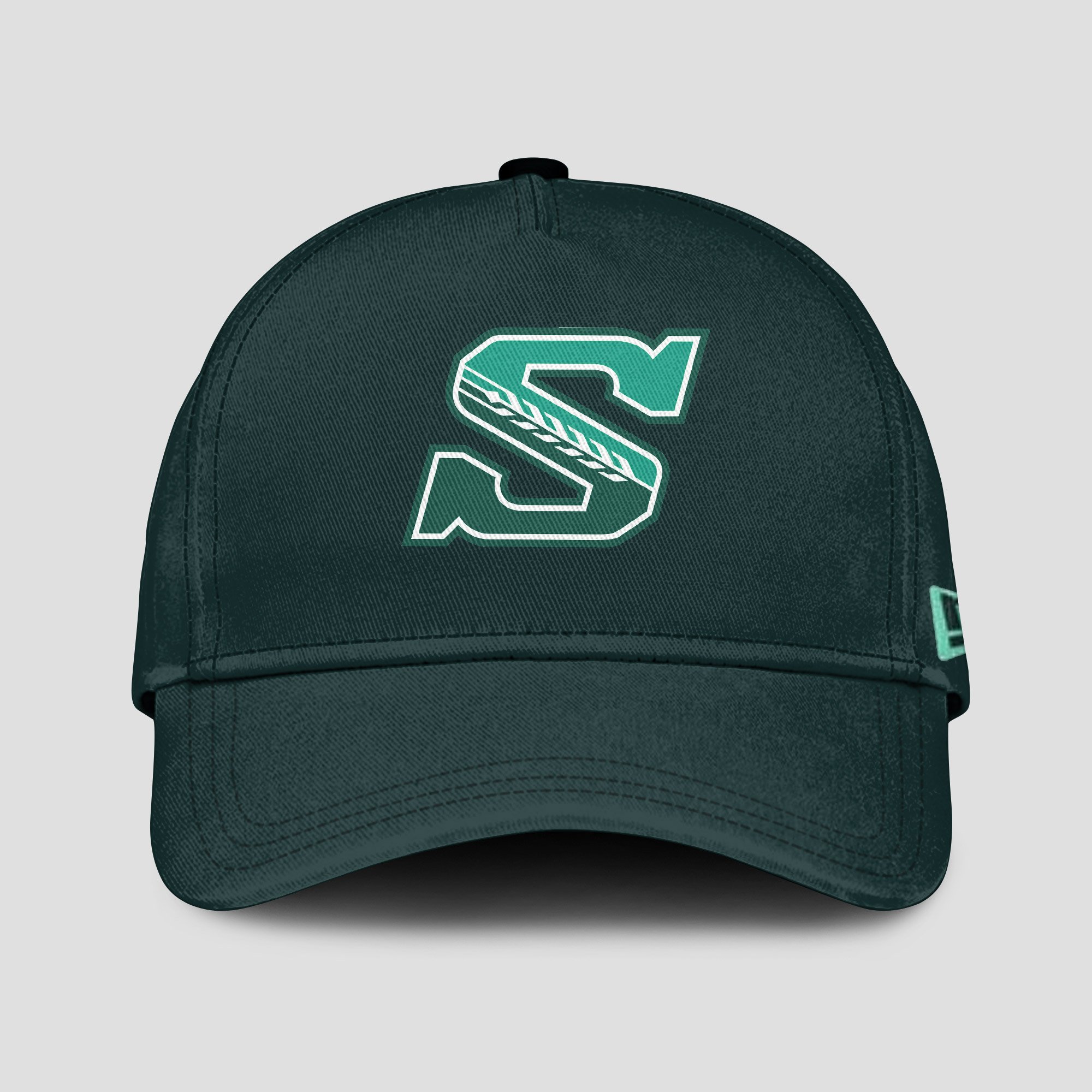 New Hoodie Saskatchewan Roughriders Limitted edition