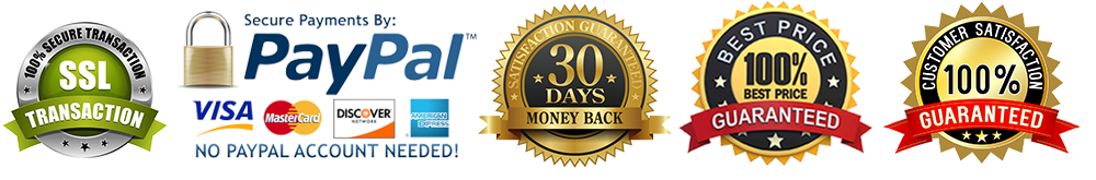 Stephen Curry GSW Premium Shoes J13